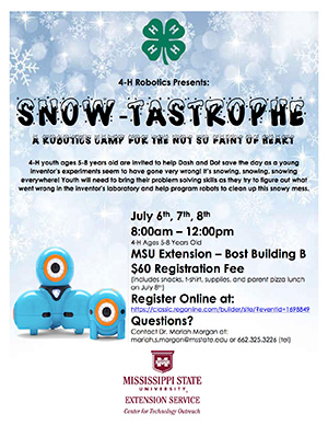 Snowtastrophe Flyer
